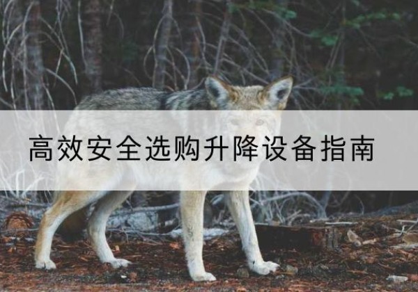 山阳升降货梯厂家推荐-*安全选购升降设备指南