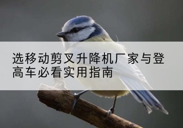 山阳电动升降机厂家-选移动剪叉升降机厂家与登高车必看实用指南